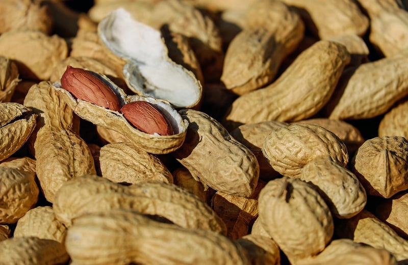 Seasonal Organic Cuisine