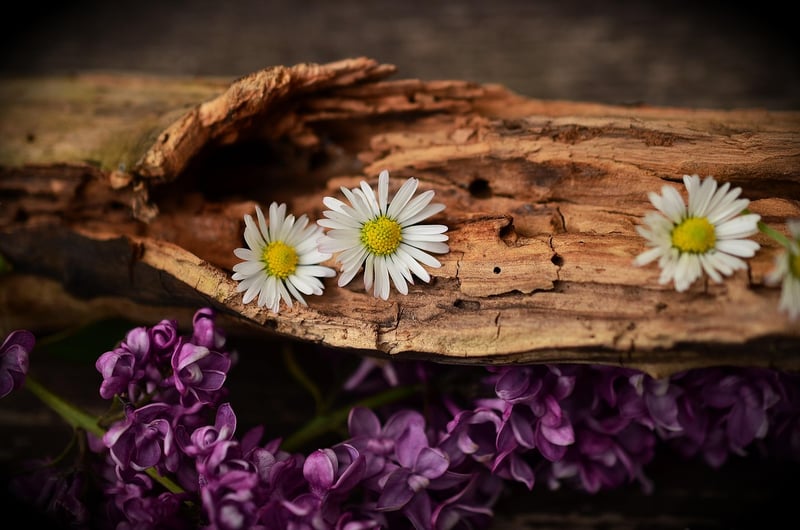 Rustic Wood Accents